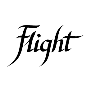 Flight Guitars