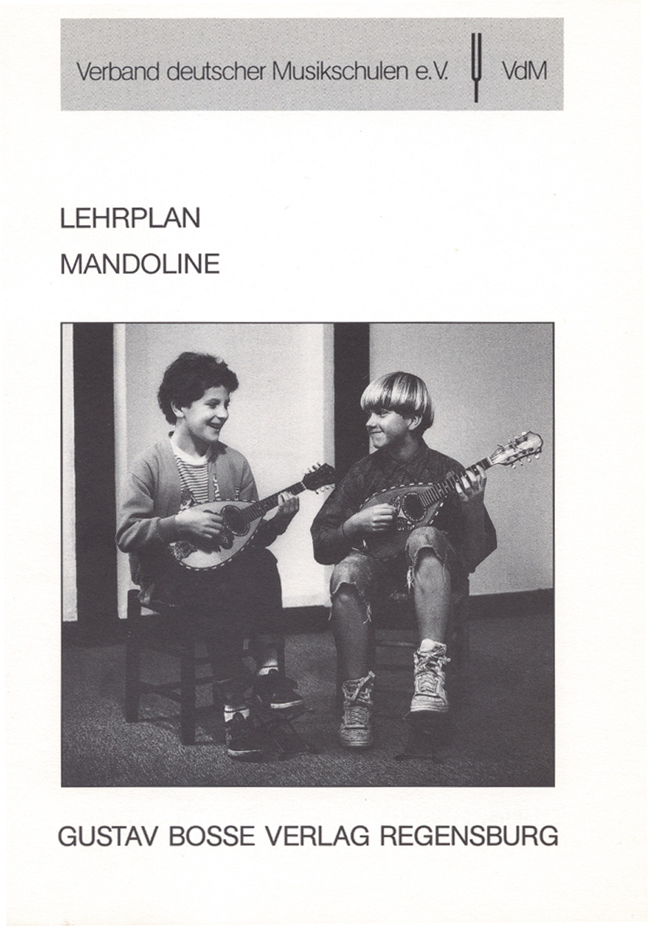 Lehrplan Mandoline -