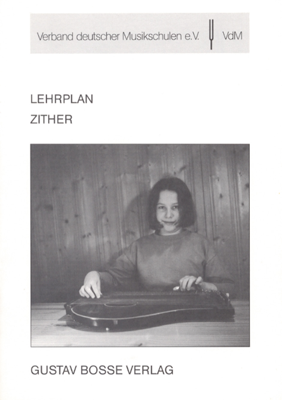 Lehrplan Zither -