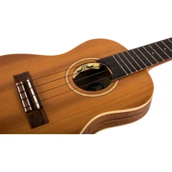 Flight: Leia Concert Electro Thinline Ukulele