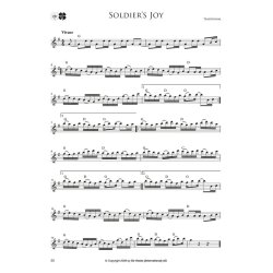 Irish melodies for Alto recorder