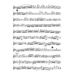 Flute Concerto, KV 314 (285d) : D Major / R&eacute; majeur / D-Dur