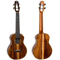 Spirit Concert Electro Ukulele (Active Pickup) : w/bag