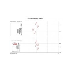 iLoud: Micro Monitor Speakers - black