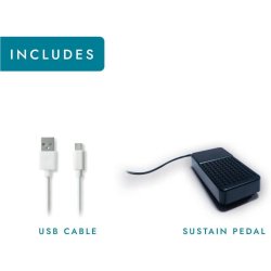 Blackstar Carry on Folding Piano FP49T - Black