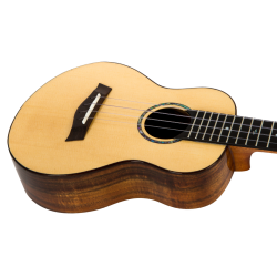 Voyager Concert Electro Ukulele (Active Pickup) : w/bag