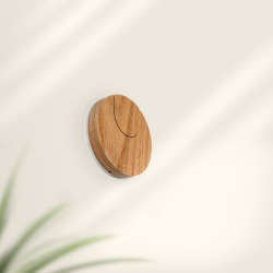 HangWithMe Electric Gitarr vgghllare - Ek