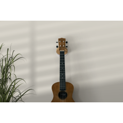 HangWithMe Ukulele Vgholder- Eg