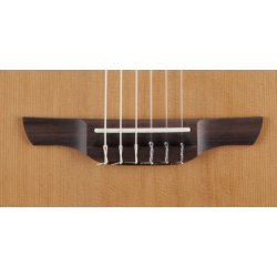 Takamine P3FCN Classic/Electric guitar