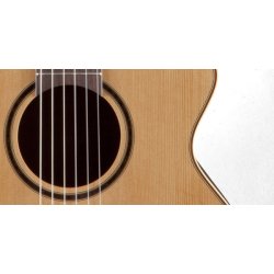 Takamine P3FCN Classic/Electric guitar