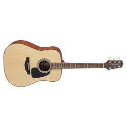 Takamine GD10-NS Dreadnaught guitar 