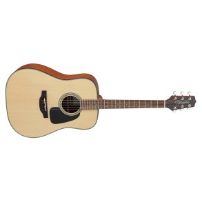 Takamine GD10-NS Dreadnaught guitar 