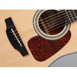 Takamine GD10-NS Dreadnaught guitar 