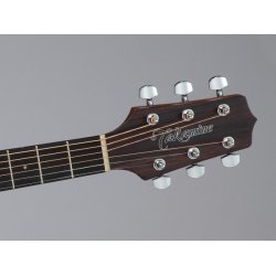 Takamine GD10-NS Dreadnaught guitar 