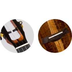 Spirit Concert Electro Ukulele (Active Pickup) : w/bag