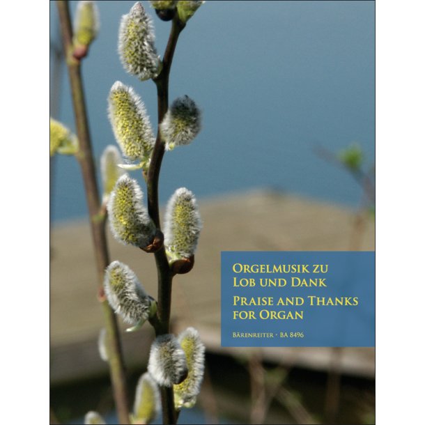 Praise and Thanks for Organ - 
