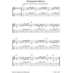 Blues for Begyndere og Viderekomne inkl ve CD