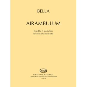 Airambulum