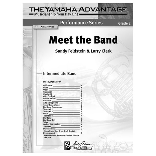 Meet the Band