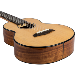 GUT850 Solid Top Guitarlele