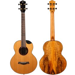 Lily Baritone Electro Ukulele : Solid Top, Steel String