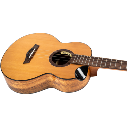 Lily Baritone Electro Ukulele : Solid Top, Steel String