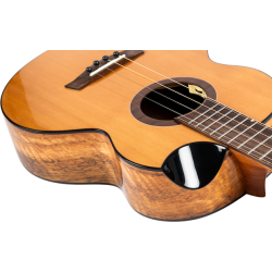 Lily Baritone Electro Ukulele : Solid Top, Steel String