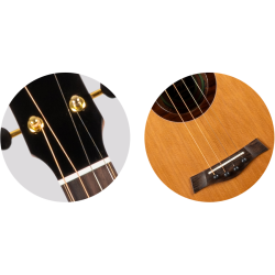 Lily Baritone Electro Ukulele : Solid Top, Steel String