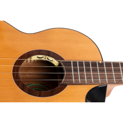 Lily Baritone Electro Ukulele : Solid Top, Steel String