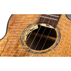 Maia Flight Baritone Solid Top Electro Acoustic Ukulele