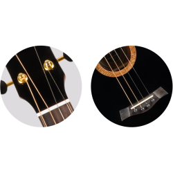 Nora Baritone Electro Ukulele : Solid Top, Steel String