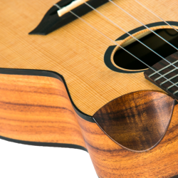 Victoria Concert Electro Ukulele (Active Pickup Soundwave) : w/bag