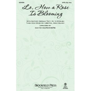 Lo, How A Rose Is Blooming