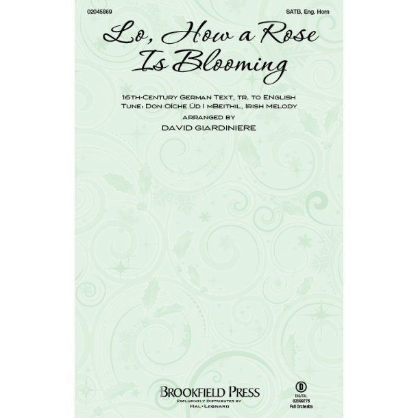 Lo, How A Rose Is Blooming