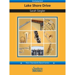 Lake Shore Drive