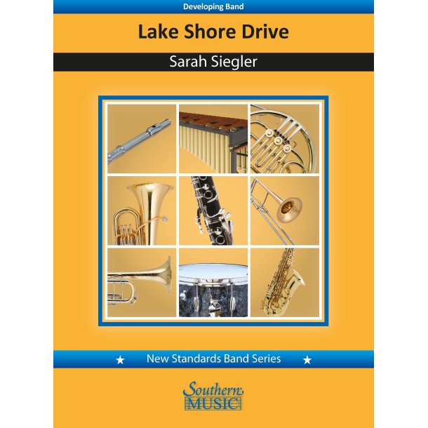 Lake Shore Drive