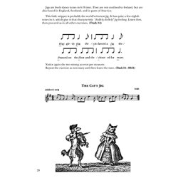 The Bill Ochs Tin Whistle Handbook