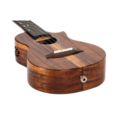 Spirit Concert Electro Ukulele (Active Pickup) : w/bag
