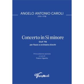 Concertino in Si Minore GroF 716