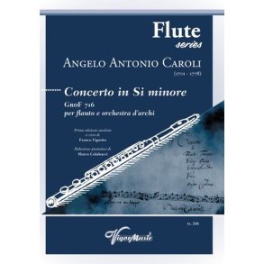 Concertino in Si Minore GroF 716