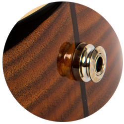 Victoria Concert Electro Ukulele (Active Pickup) : w/bag