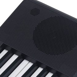 Keyboard Pakke - Viva Chord II m. 61 anslagsf�lsomme tangenter