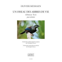 Un Oiseau des arbres de Vie (Oiseau Tui)
