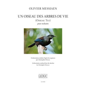Un Oiseau des arbres de Vie (Oiseau Tui)