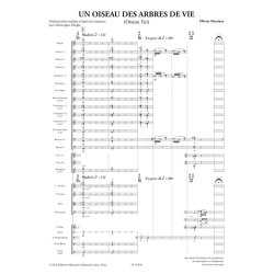 Un Oiseau des arbres de Vie (Oiseau Tui)