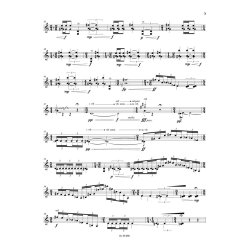 A Box of Darkness With a Bird in Its Heart