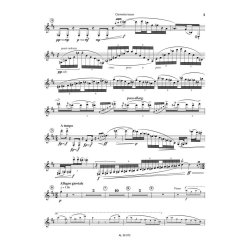 Concerto for Bassoon : transcription for Bass Clarinet