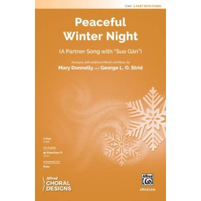 Peaceful Winter Night