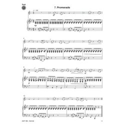 Skilful Solos : 20 Progressive pieces with Piano Accompaniment