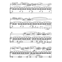 Omaggio : Euphonium Concerto No 4